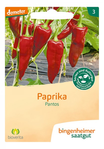 Paprika Pantos (Bio-Saatgut)