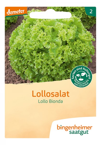 Pflücksalat Lollo Bionda (Bio-Saatgut)