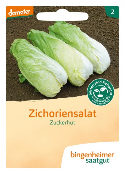Zichoriensalat Zuckerhut (Bio-Saatgut)
