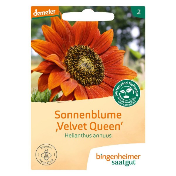 Sonnenblume Velvet Queen (Bio-Saatgut)
