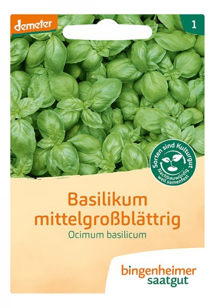 Basilikum mittelgroßblättrig (Bio-Saatgut)