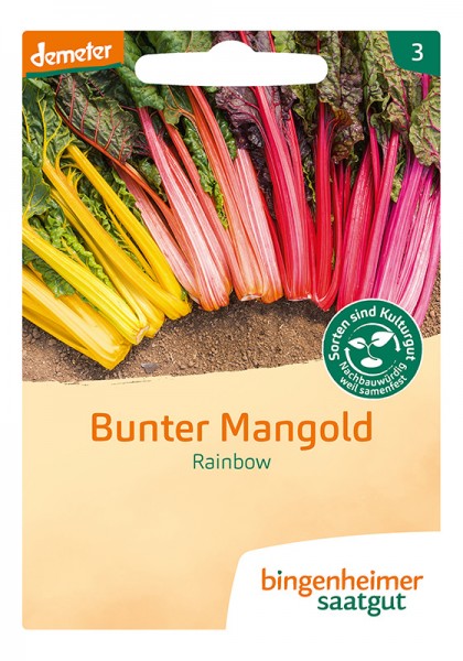Rainbow Bunter Mangold (Bio Saatgut)