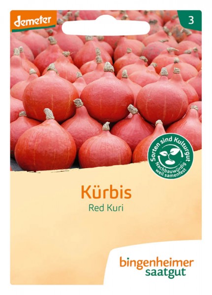 Red Kuri Hokkaido Kürbis (Bio Saatgut)