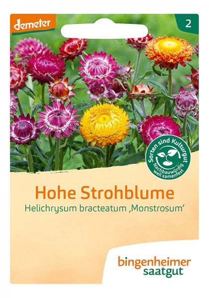 Hohe Strohblume (Bio-Saatgut)