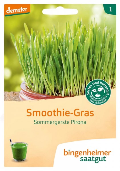 Smoothie Gras (Bio-Saatgut)