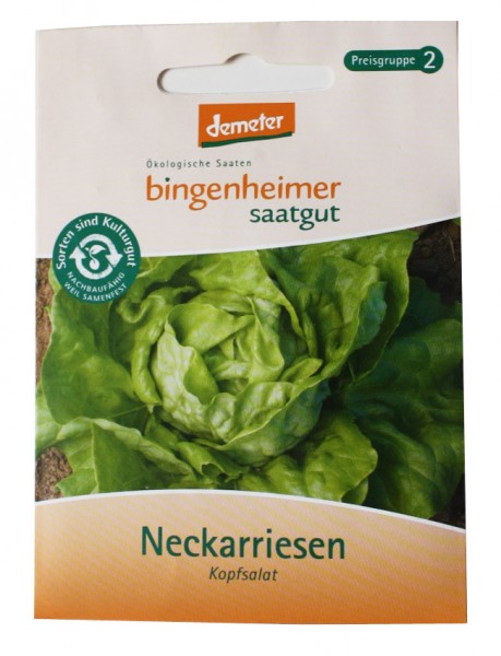 Neckarriesen Kopfsalat (Bio-Saatgut)