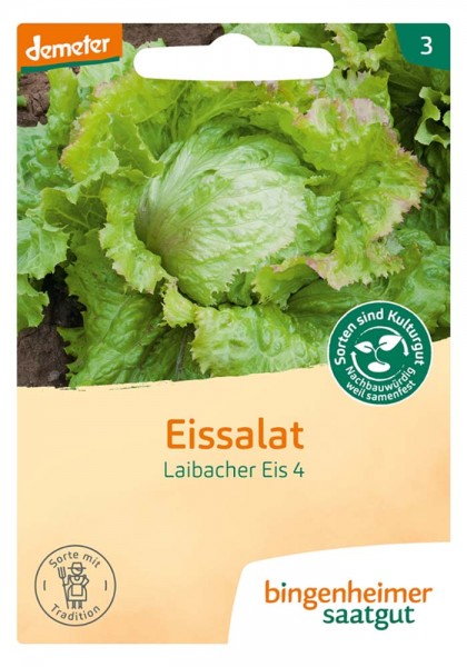 Eissalat Laibacher Eis (Bio-Saatgut)