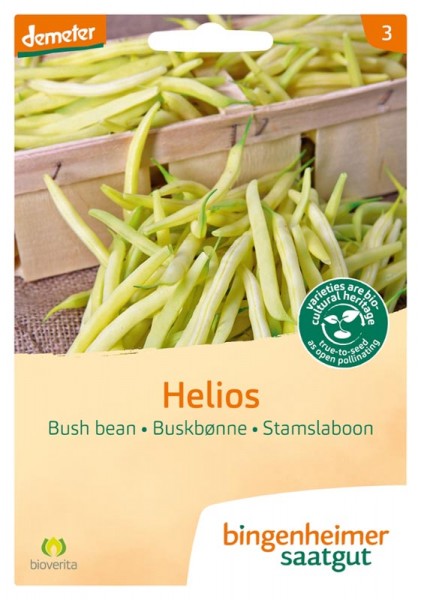 Helios Buschbohne (Bio-Saatgut)