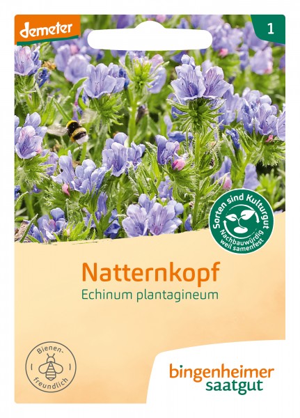 Natternkopf (Bio Saatgut)