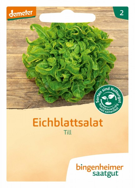 Till Eichblattsalat (Bio-Saatgut)