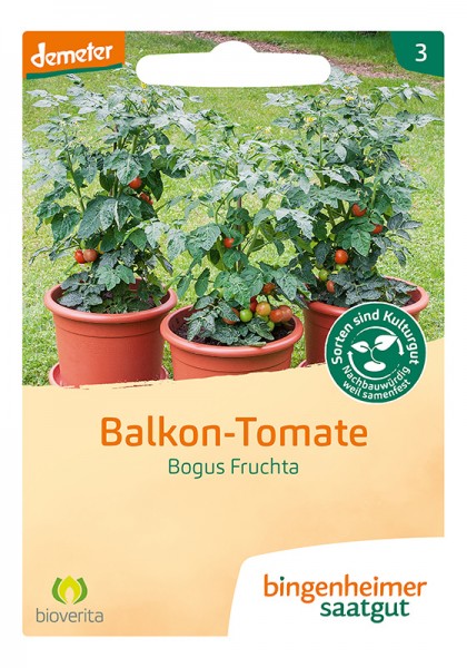 Tomate Bogus Fruchta (Bio-Saatgut)