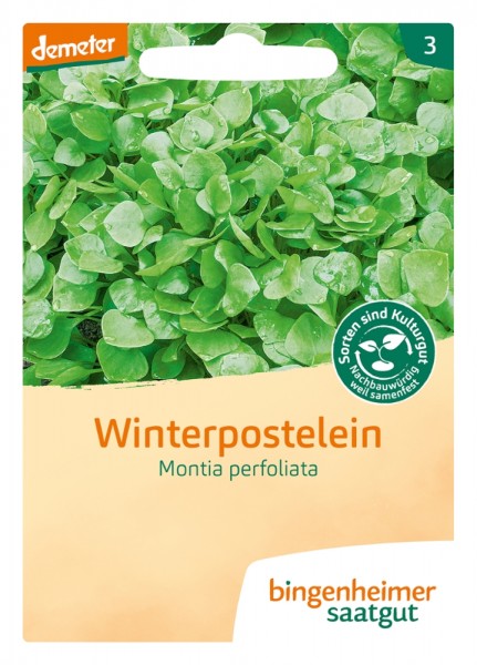 Winterpostelein (Bio-Saatgut)