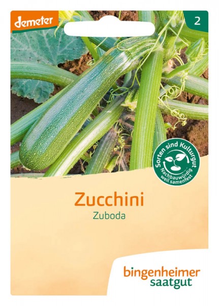 Zuboda Zucchini (Bio-Saatgut)