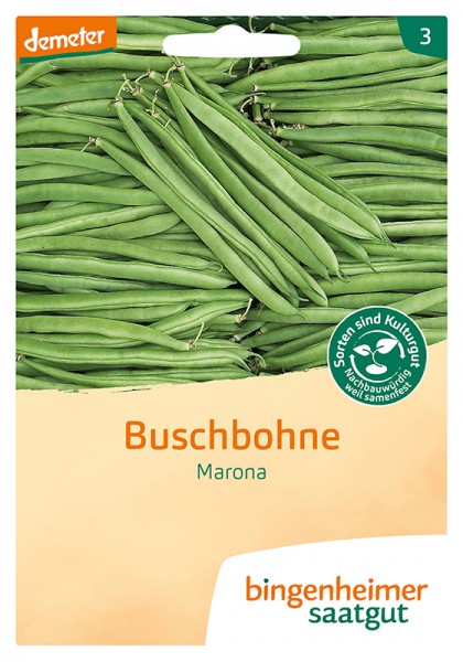 Marona Buschbohne (Bio-Saatgut)