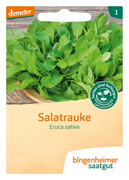 Salatrauke Bio Saatgut (Eruca sativa)