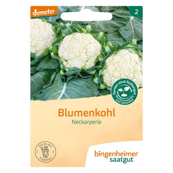 Blumenkohl Neckarperle (Bio-Saatgut)